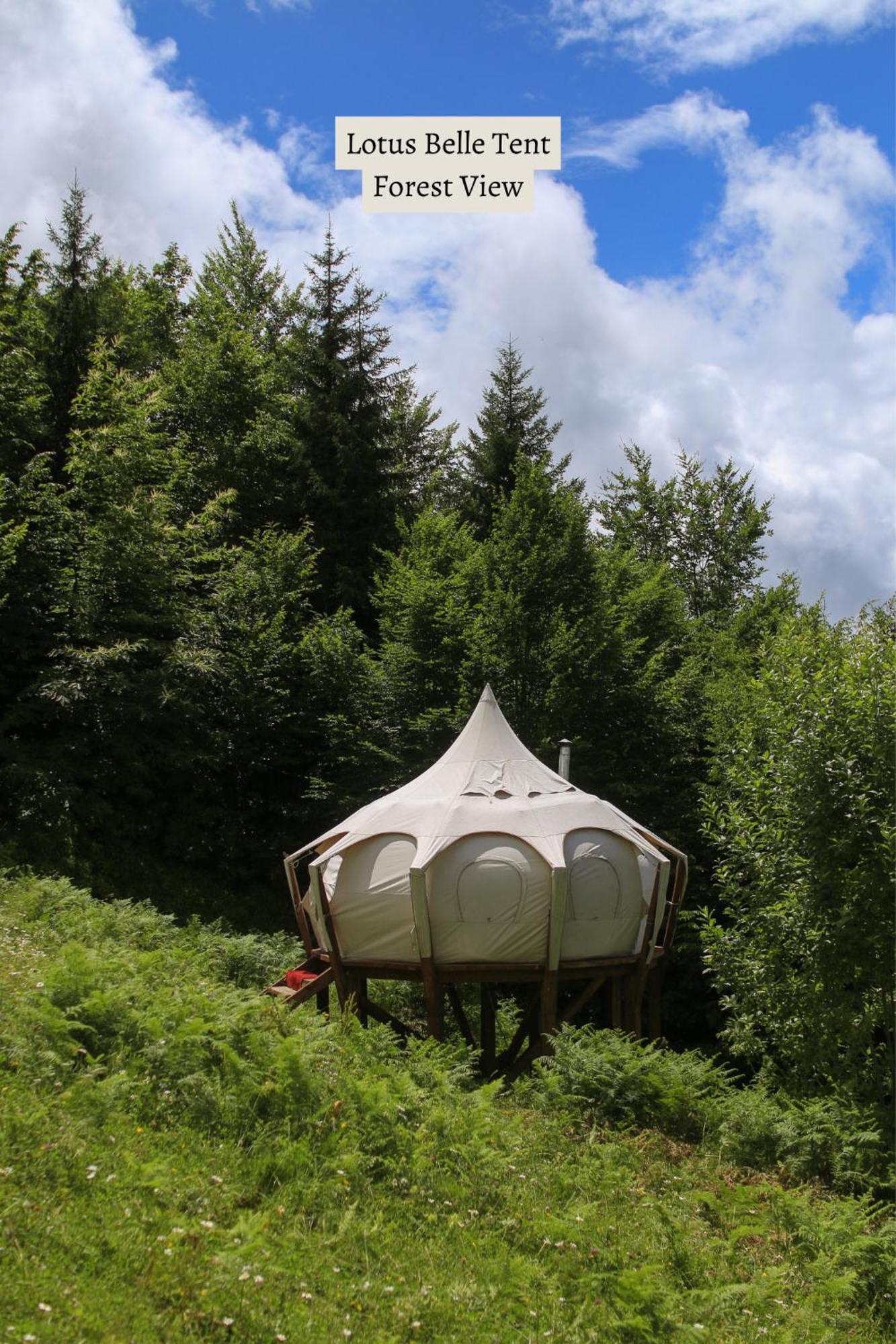 Отель Glamping Tago Khulo Экстерьер фото